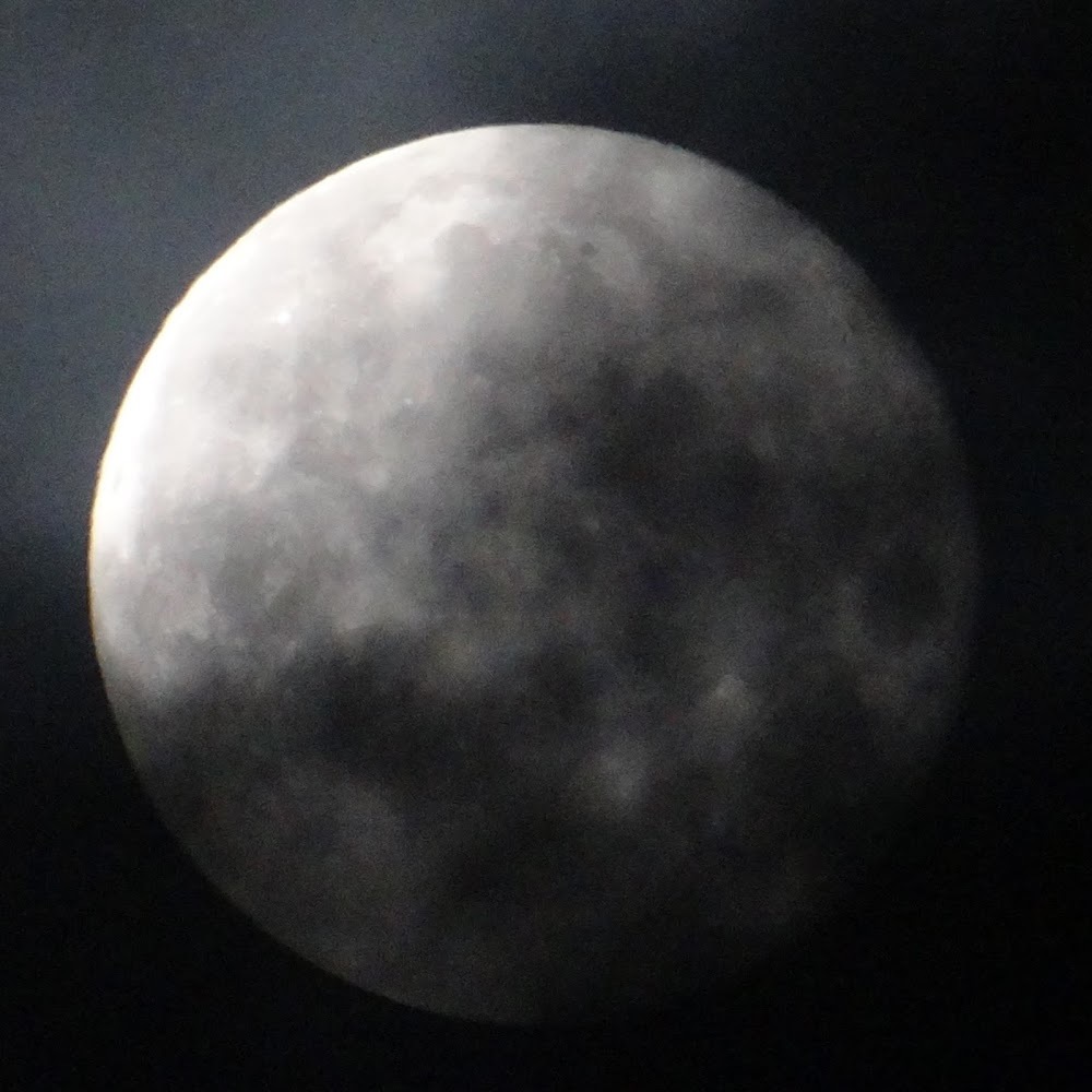 Meet your Posher, Shadow